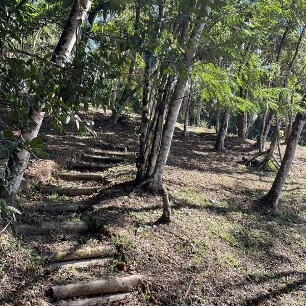 Vila Dravida Petar
