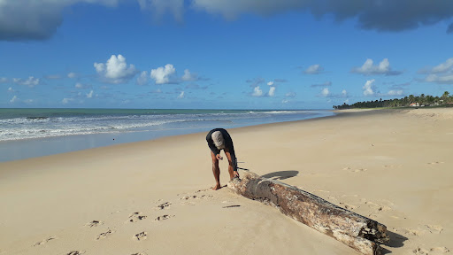 Hotéis Baratos em Lagoa do Pau, Alagoas 2025