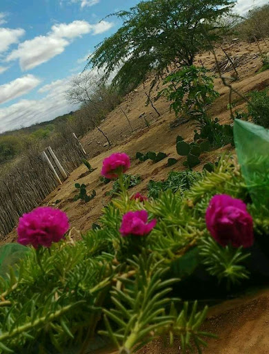 Hotéis Baratos em Camalaú, Paraíba 2025