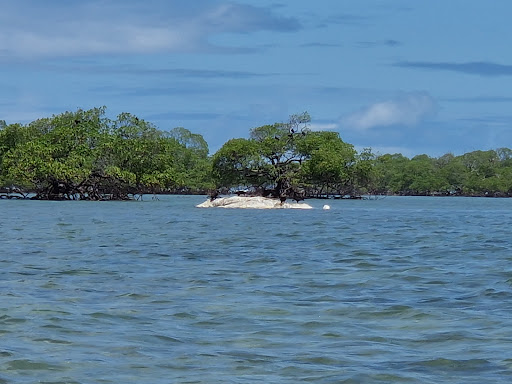 Hotéis Baratos em Barra do Carvalho, Bahia 2025