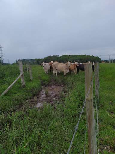 Hotéis Baratos em Itapocu, Santa Catarina 2025