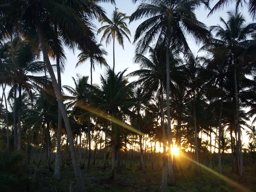 Hotéis Baratos em Ponta da Tulha, Bahia 2025