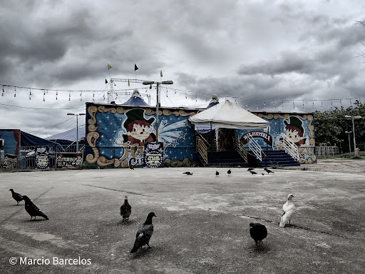 Hotéis Baratos em Cocotá, Rio de Janeiro 2025