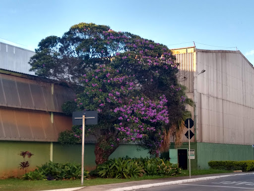 Hotéis Baratos em Barreiro, Minas Gerais 2025