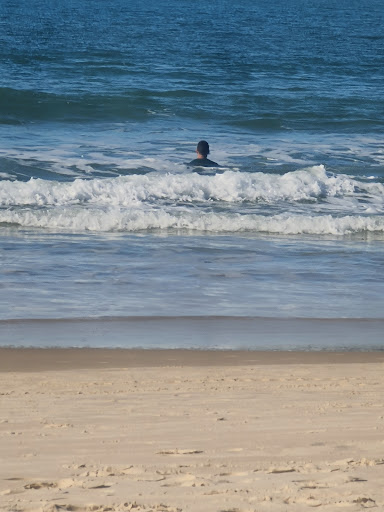 Hotéis Baratos em Ingleses do Rio Vermelho, Ilha de Santa Catarina 2025