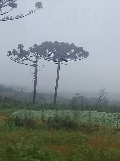 Hotéis Baratos em Araucária, Paraná 2025