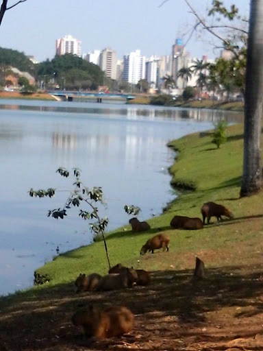 Hotéis Baratos em São José do Rio Preto, São Paulo 2025