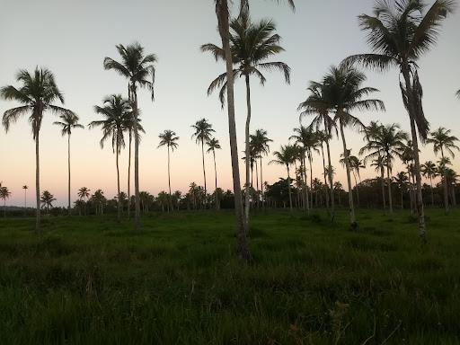 Hotéis Baratos em Santa Luzia, Alagoas 2025