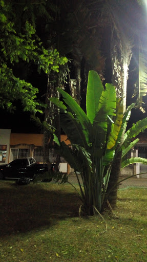 Hotéis Baratos em Santanésia, Rio de Janeiro 2025