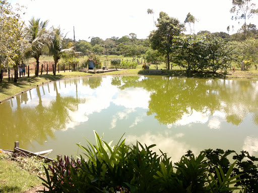 Hotéis Baratos em Canavieiras, Bahia 2025