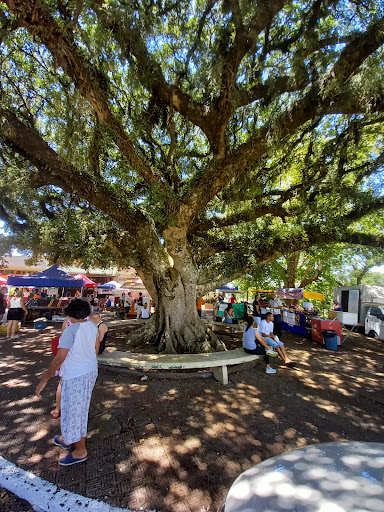 Hotéis Baratos em Belém Velho, Rio Grande do Sul 2025