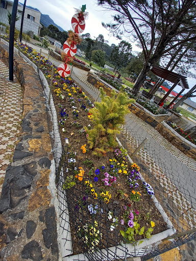 Hotéis Baratos em Bom Jardim da Serra, Santa Catarina 2025