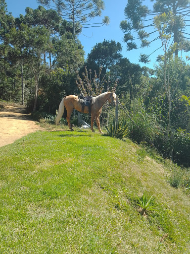 Hotéis Baratos em Piranguçu, Minas Gerais 2025