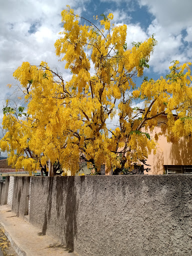 Hotéis Baratos em Bezerros, Pernambuco 2025