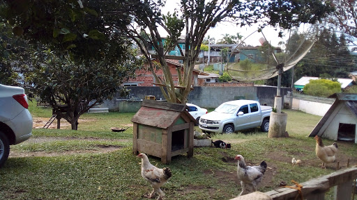 Hotéis Baratos em Rio Negrinho, Santa Catarina 2025