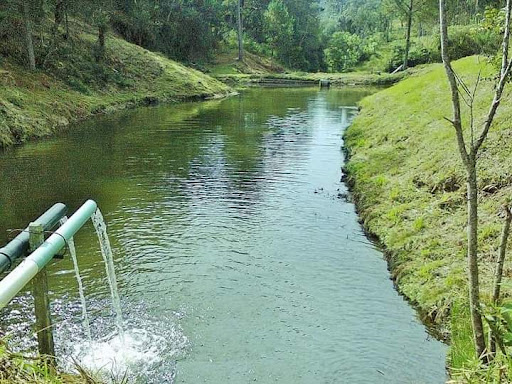 Hotéis Baratos em Rio Negro, Paraná 2025