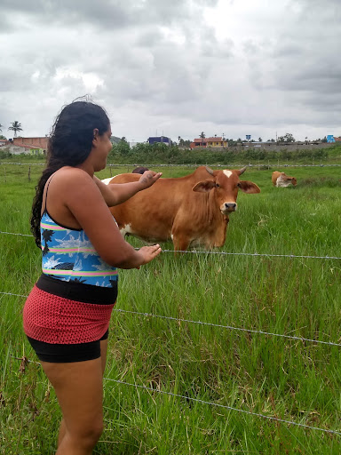 Hotéis Baratos em Passo de Camarajibe, Alagoas 2025