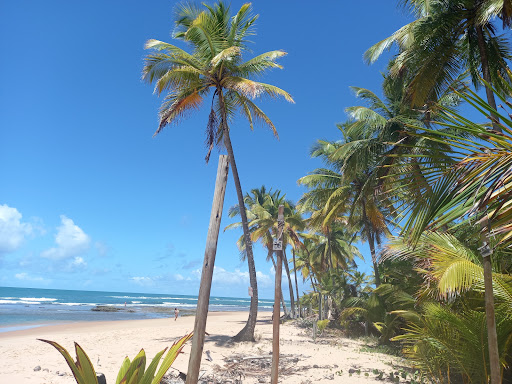 Hotéis Baratos em Taipu, Bahia 2025