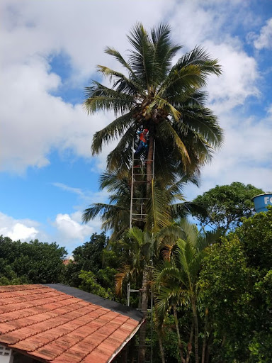 Hotéis Baratos em Areia Branca, Bahia 2025